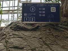 -大阪海游馆