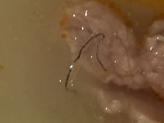 -无味饭店(九眼桥商业文化广场店)