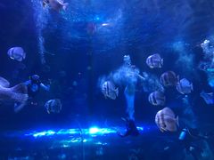 -西安华夏文旅水世界