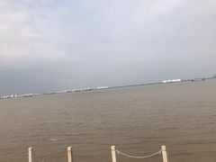 -海鸥岛