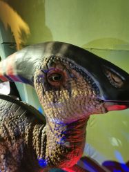 -恐龙探索乐园(磁器口店)