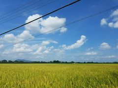 -赤坎古镇影视城