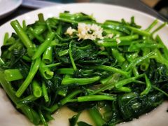 空心菜-斯丹姜母鸭(涂门街总店)