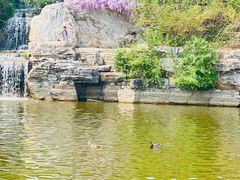 -北京西山国家森林公园