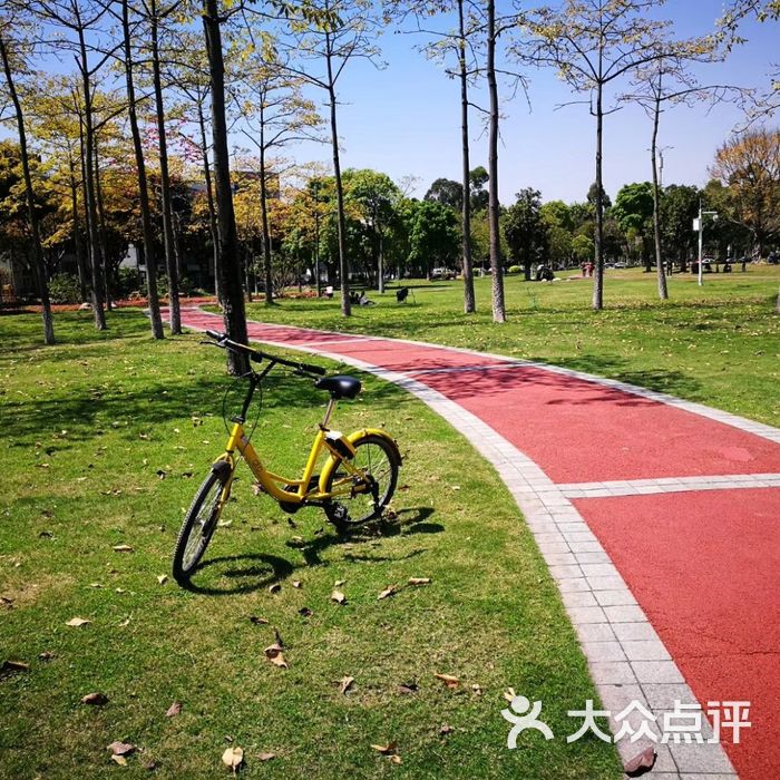 二沙島體育公園圖片-北京公園-大眾點評網