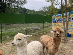 -中国天府农业博览园