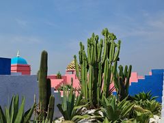 -漳州滨海火山岛自然生态风景区