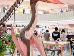 -上海七宝领展广场