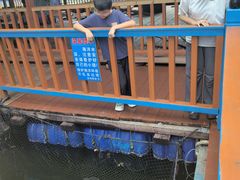 -蓝湾碧波·老字号·疍家非遗海上餐厅