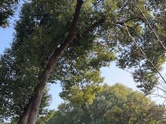 -无锡梅园公园