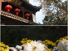 -汇龙潭