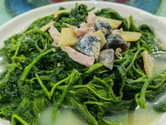 上汤桑叶-水上人家河鲜