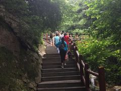 -王顺山国家森林公园