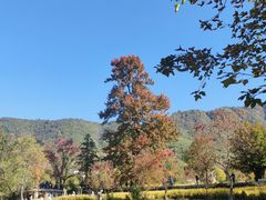 -塔川景区