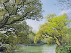 -西溪国家湿地公园