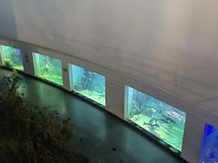 -上海长江河口科技馆