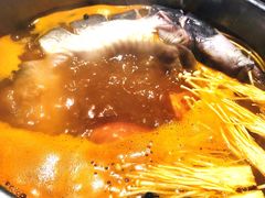 酸汤鱼-酸喜·三度酸·贵州味