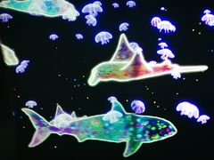 -暹罗海洋世界