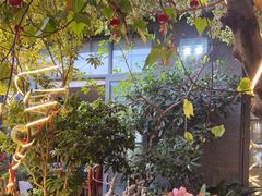 -海韵人家.海景花园经典云南菜(双廊店)