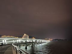 -演武大桥观景平台