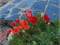 -白草畔自然风景区