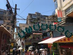 -猫咪博物馆(顶澳仔猫街店)