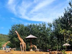 -大连森林动物园