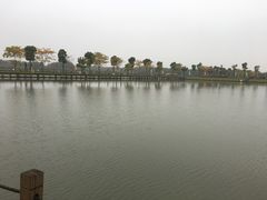 -明珠湖天鹅苑·农家菜馆