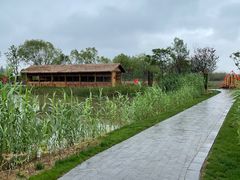 -泗洪洪泽湖湿地景区