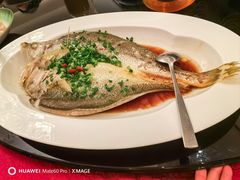 葱油蒸大黄鱼-上海小南国(国会店)