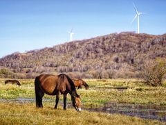 -塞罕坝国家级自然保护区