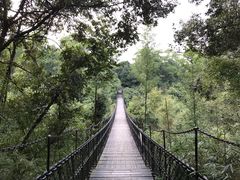 -东部华侨城