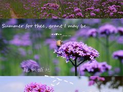 -杭州城北体育公园