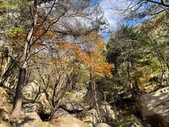 -鲁山国家森林公园