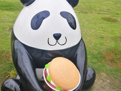 -桂溪生态公园