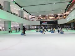 -TheRink大零溜冰场(IFS国金中心店)