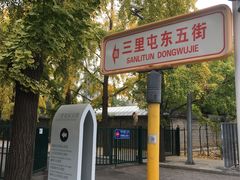 -三里屯东五街银杏大道