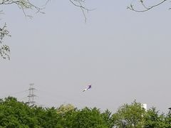 -太阳宫公园
