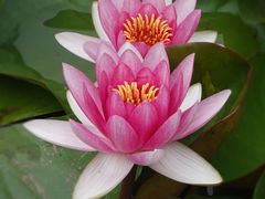 -国家植物园