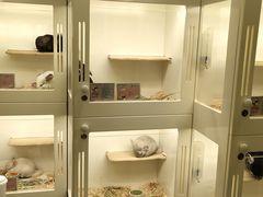 -龙猫仔乐园(惠福东路店)