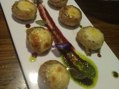 -百好乐宠物友好餐厅(朝外大街店)