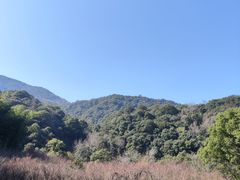 -北仑森林植物园