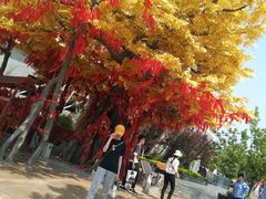 景点-济南方特东方神画