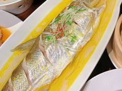 -苏帮袁Sue Cuisine(将台店)