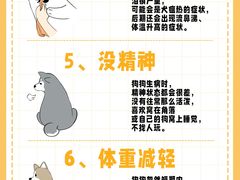 -佩兹宠物医院肿瘤专科·眼科·牙科(黄浦店)