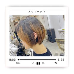 -董小姐的店