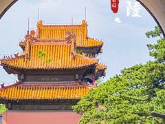 -北陵公园