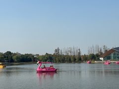 -上海长兴岛郊野公园