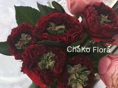 -ChaKo Flora ·茶子花艺 (市北店)