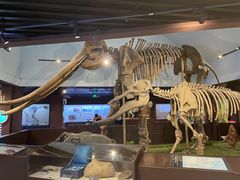 -国家自然博物馆